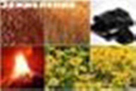 Заживл Текст
